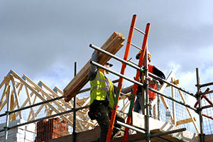 Scaffold and ladders